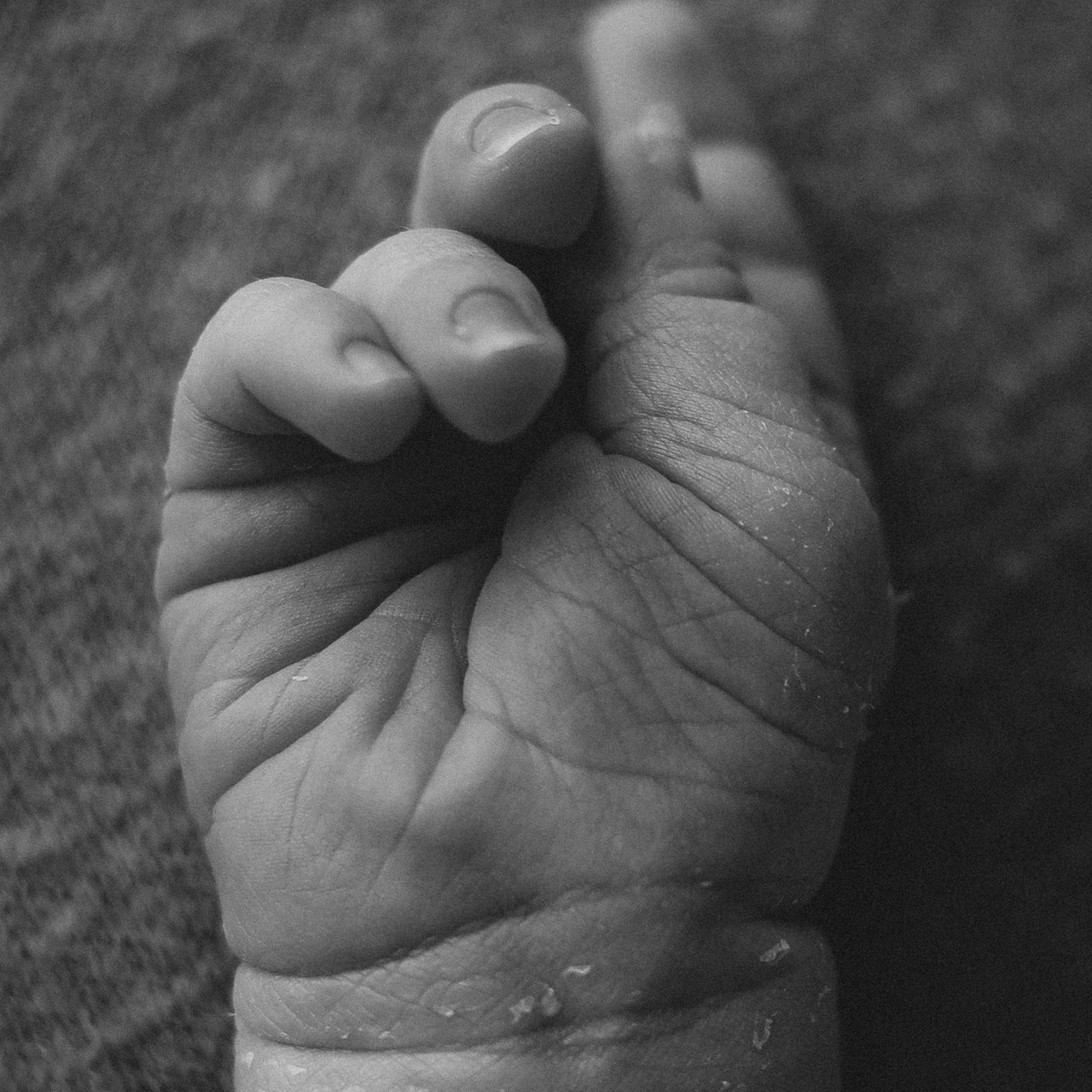 Отзывы. Семейный фотограф и фотограф новорожденных в Санкт-Петербурге Алевтина