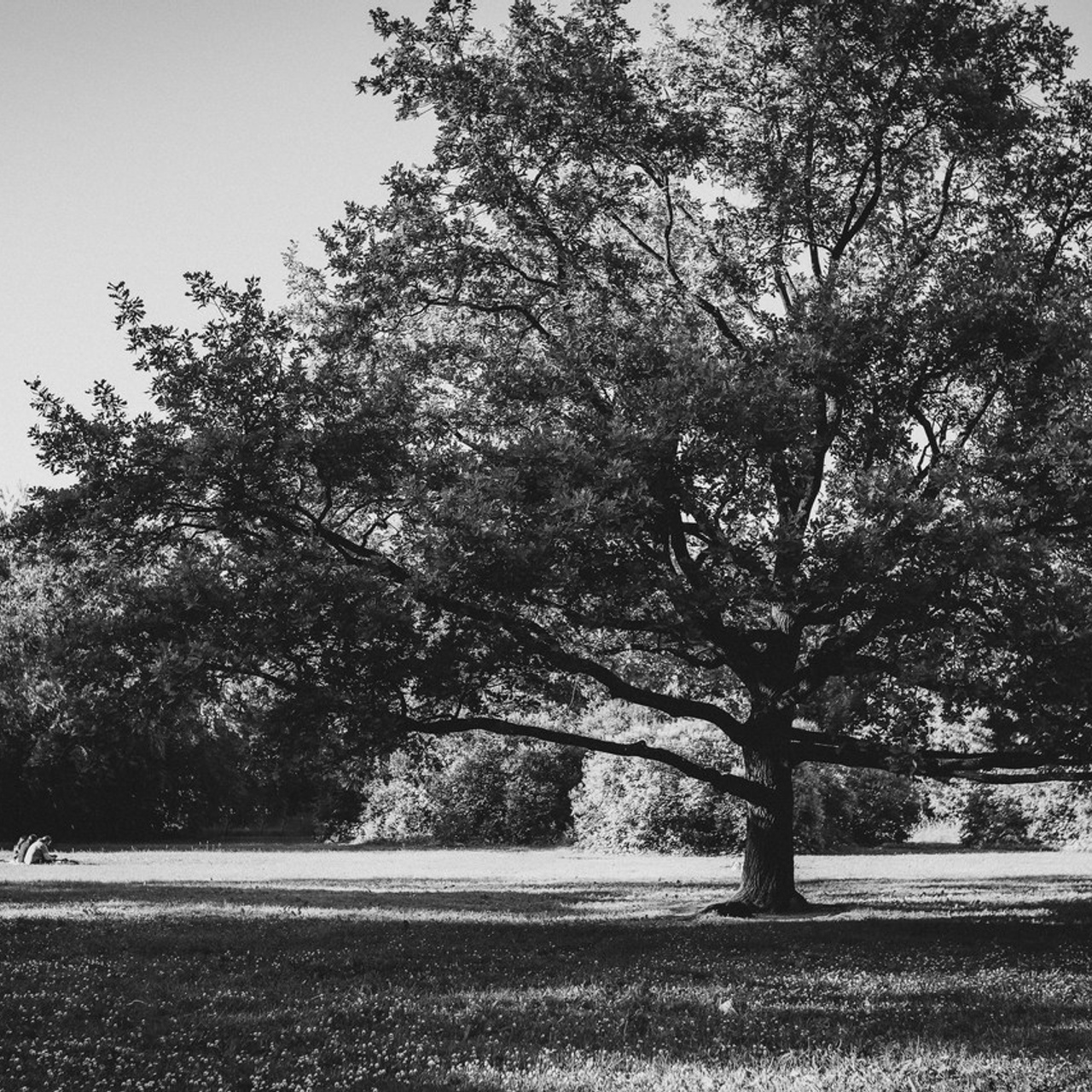 Отзывы. Семейный фотограф и фотограф новорожденных в Санкт-Петербурге Алевтина