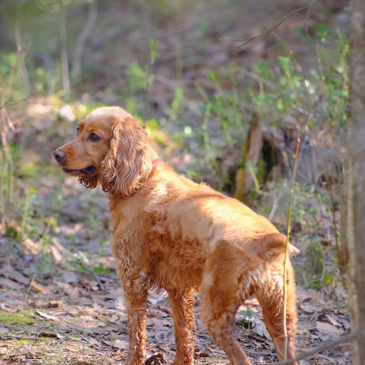 Отзывы. Репортажный и семейный фотограф — Шелихов Сергей