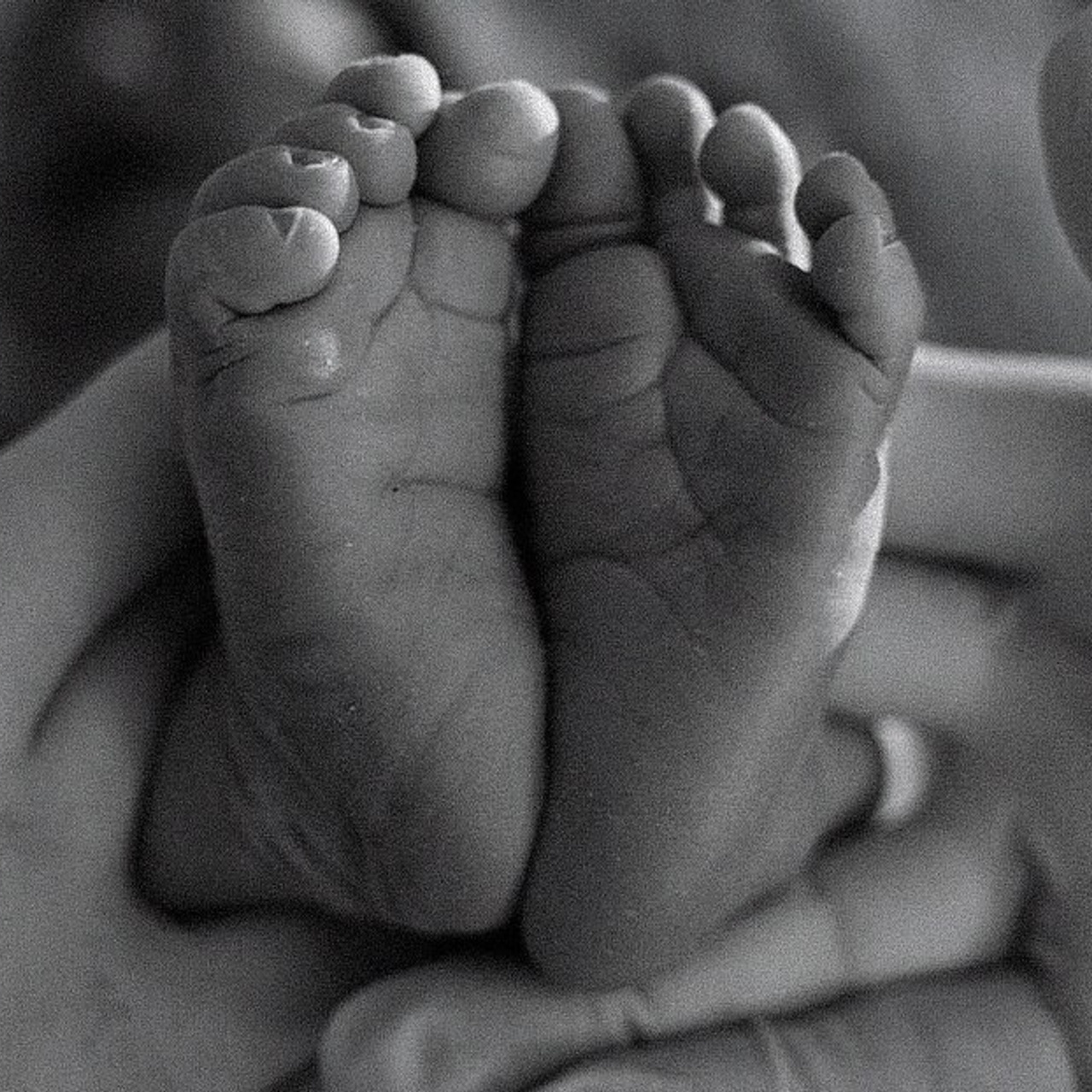 Фотосессия беременности. Фотограф на роды в Москве. Фото и видео родов. Фотопроект «Продолжение рода»