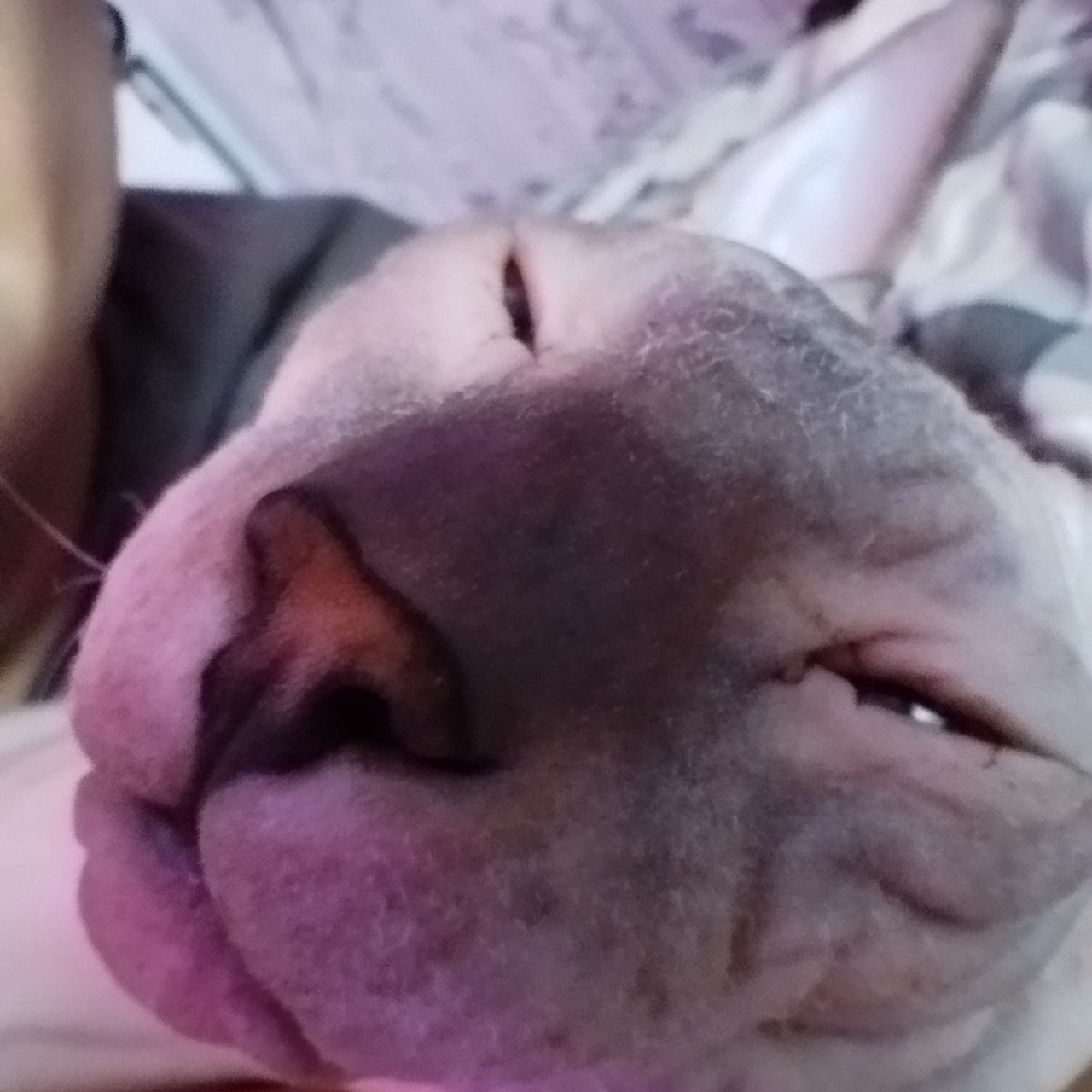 Учебник фотографии. Международная онлайн-фотошкола Сергея Рожнова