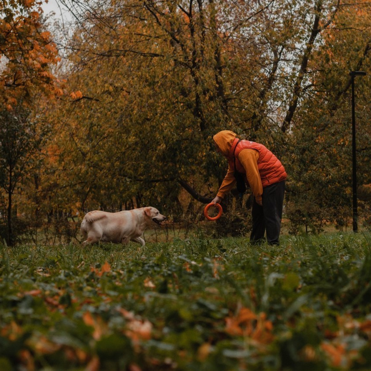 Отзывы. Портретный и репортажный фотограф в Москве, Ольга Ларема