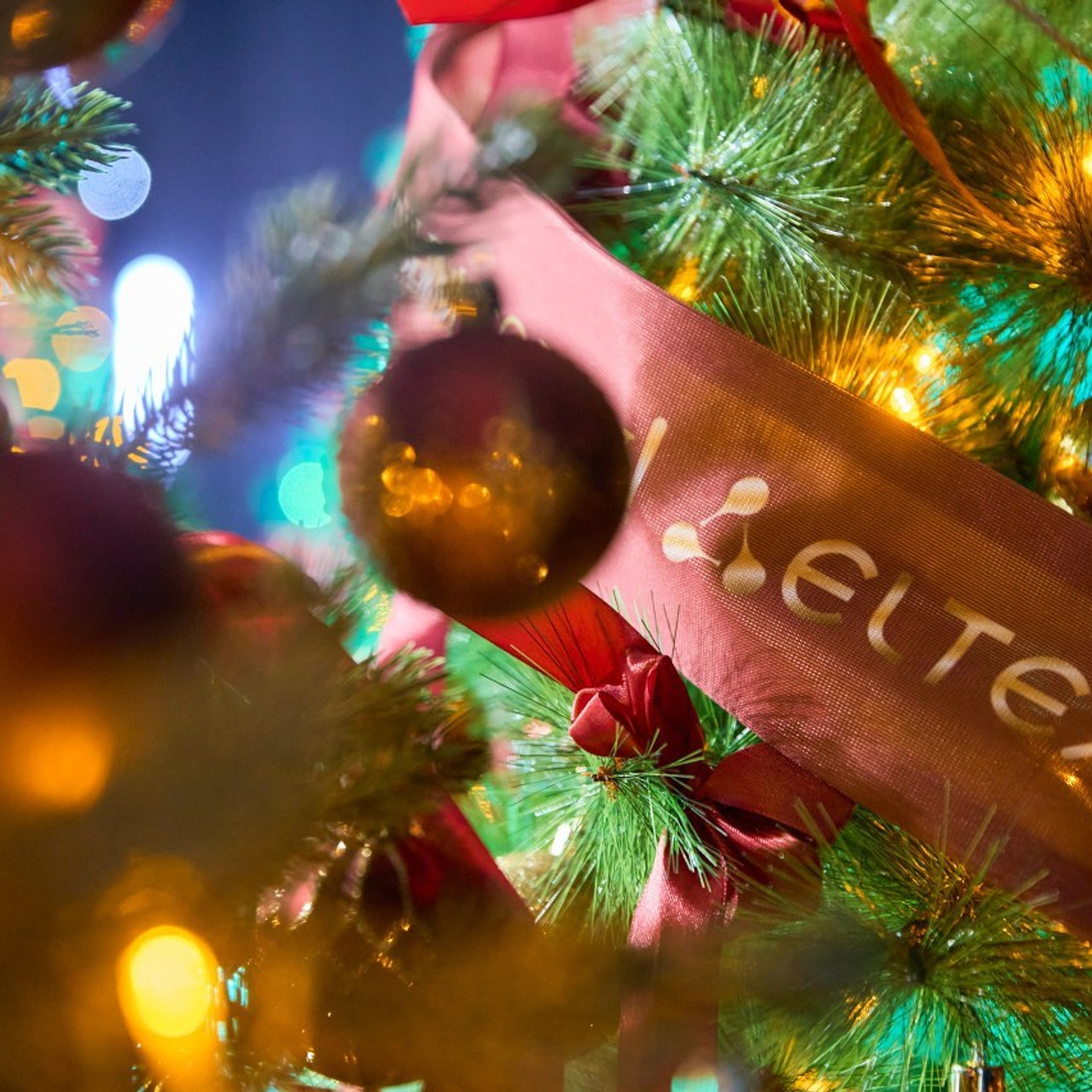 Отзывы. Репортажный фотограф Новосибирск — Станислав Попов