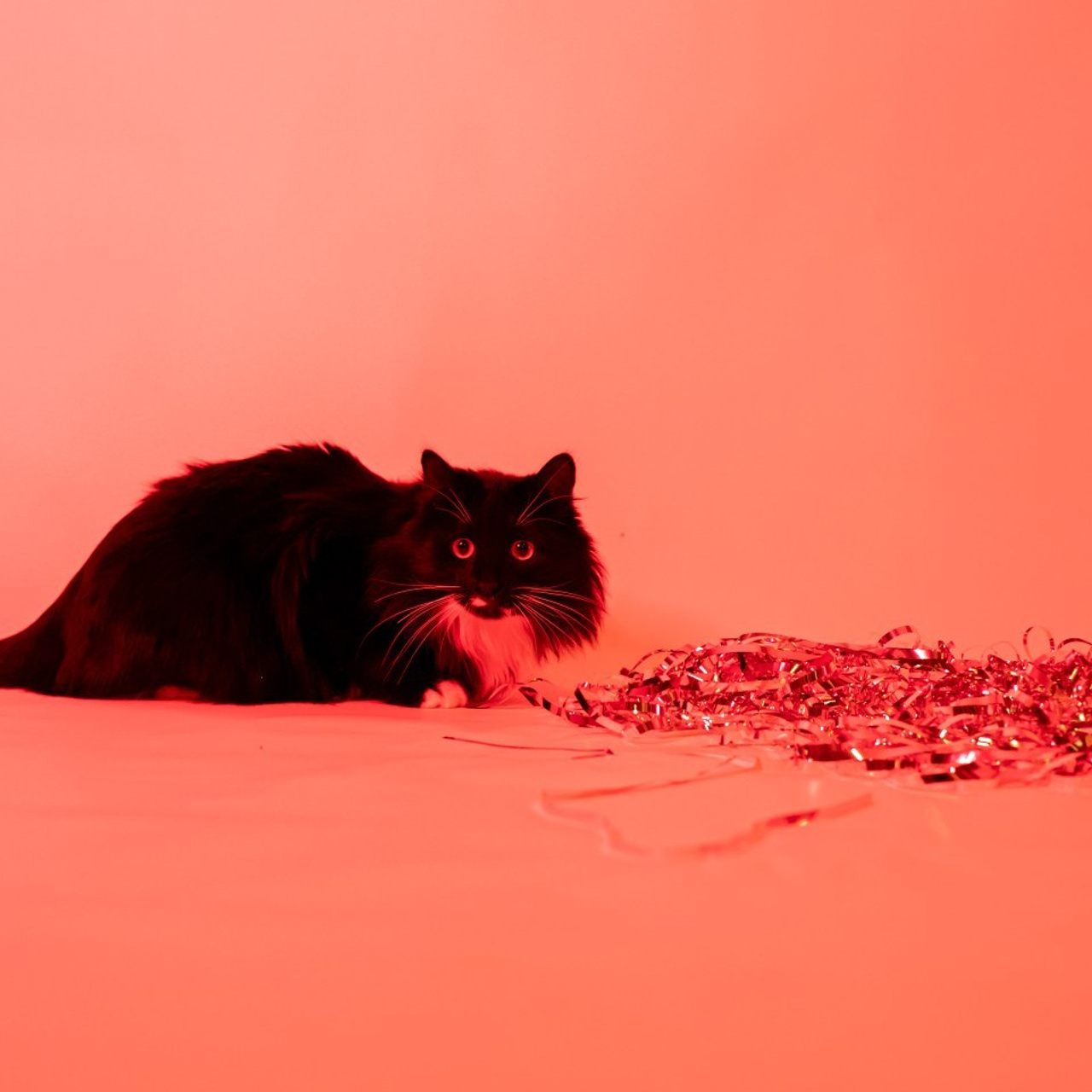 Фотограф Балашиха. Свадебный и семейный фотограф Екатерина Пушан. Москва, Балашиха, Железнодорожный, Солнечногорск