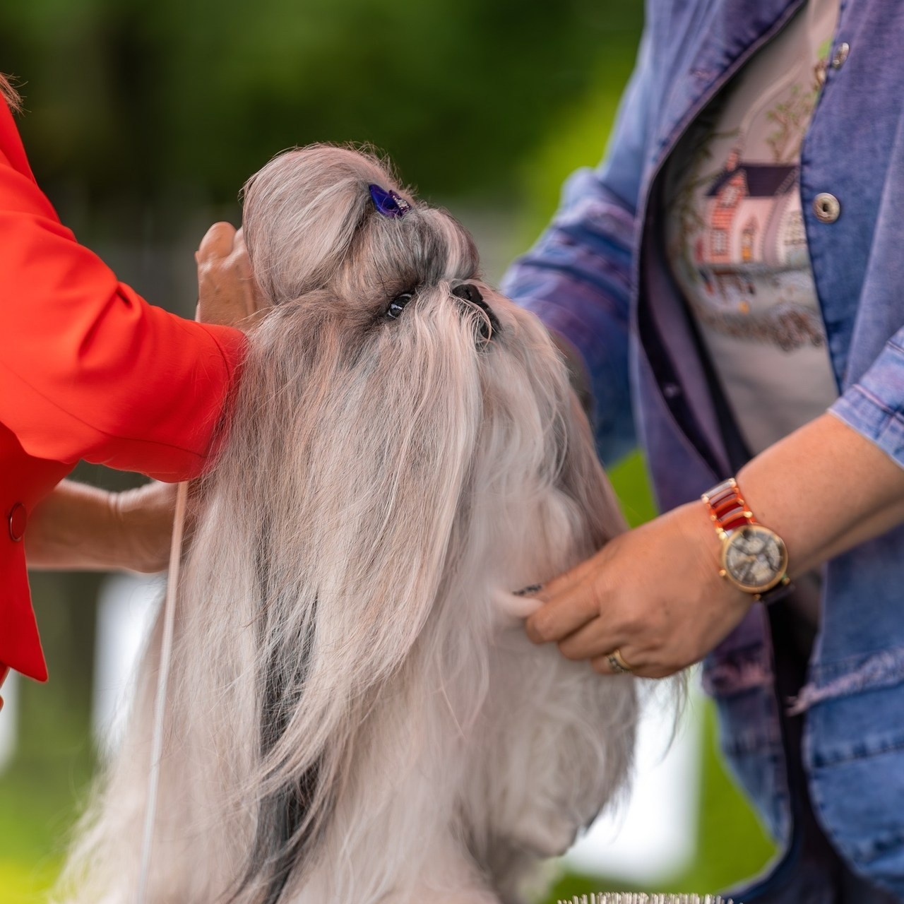 Отзывы. Ирина Голомб|Фотограф-анималист в  Сочи и Калининграде