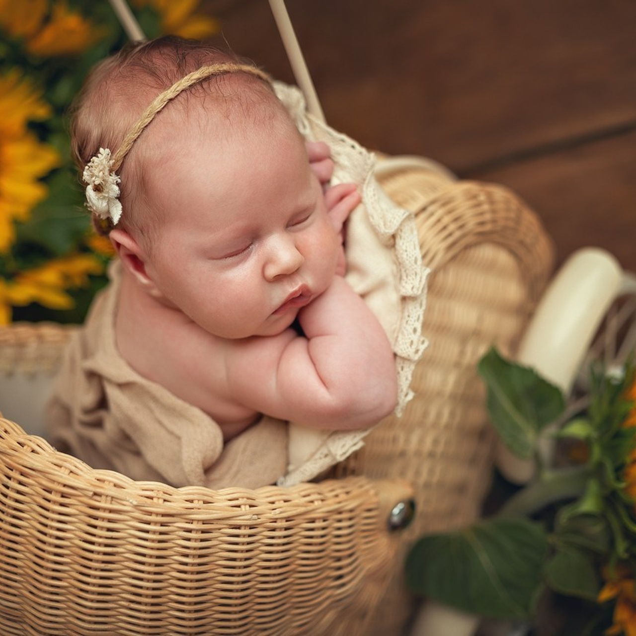 Отзывы. Детский семейный фотограф, фотограф новорожденных Могилев Алена Волкова