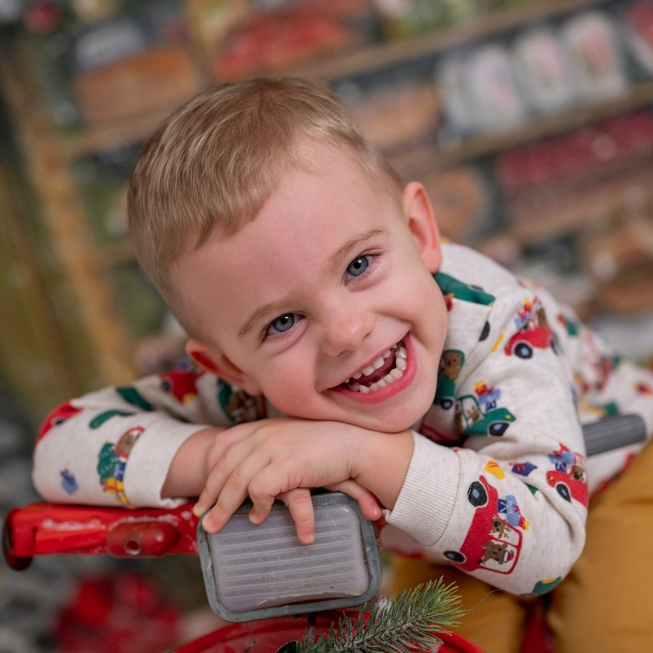 Отзывы. Детский семейный фотограф, фотограф новорожденных Могилев Алена Волкова