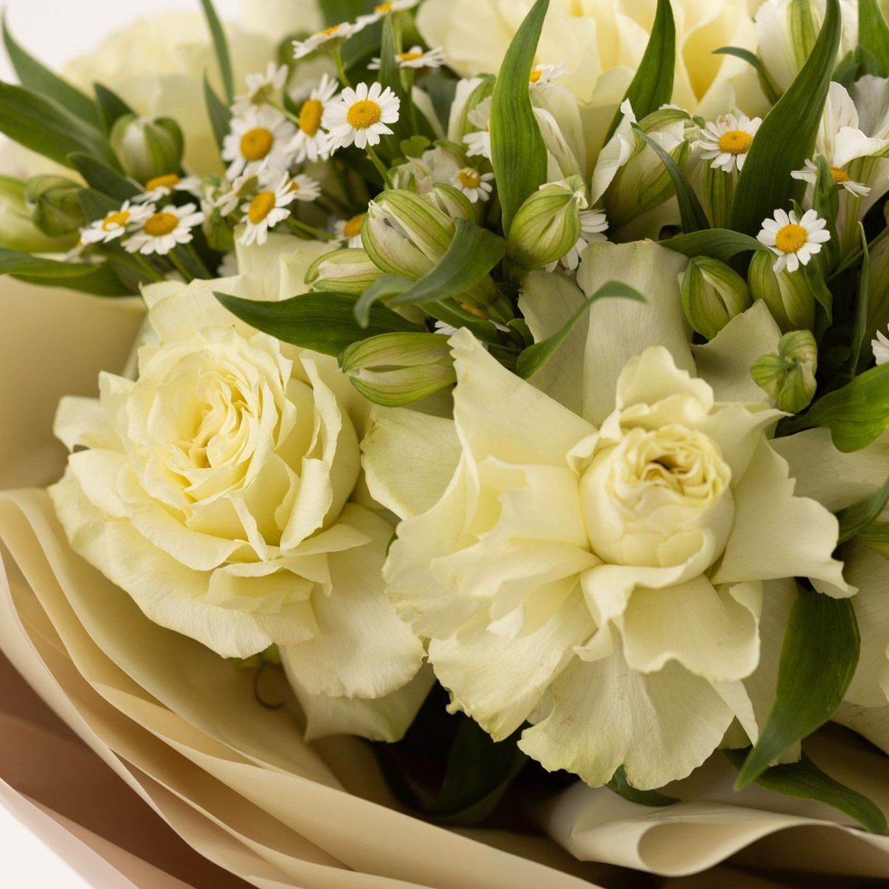 Отзывы. Яна Тихонова — фотограф в Полоцке, Витебске и Минске