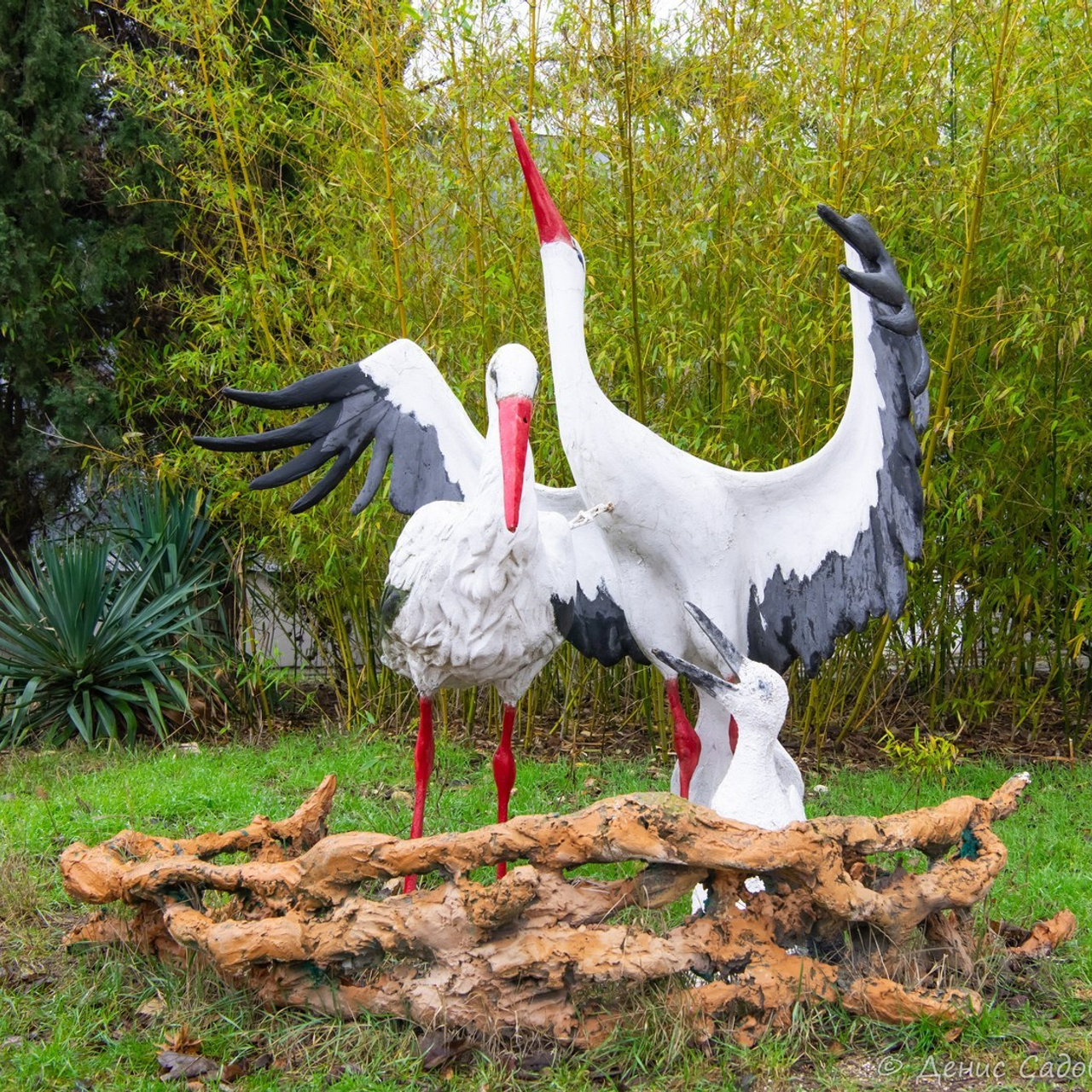 Отзывы. Денис Садовый фотограф Севастополь