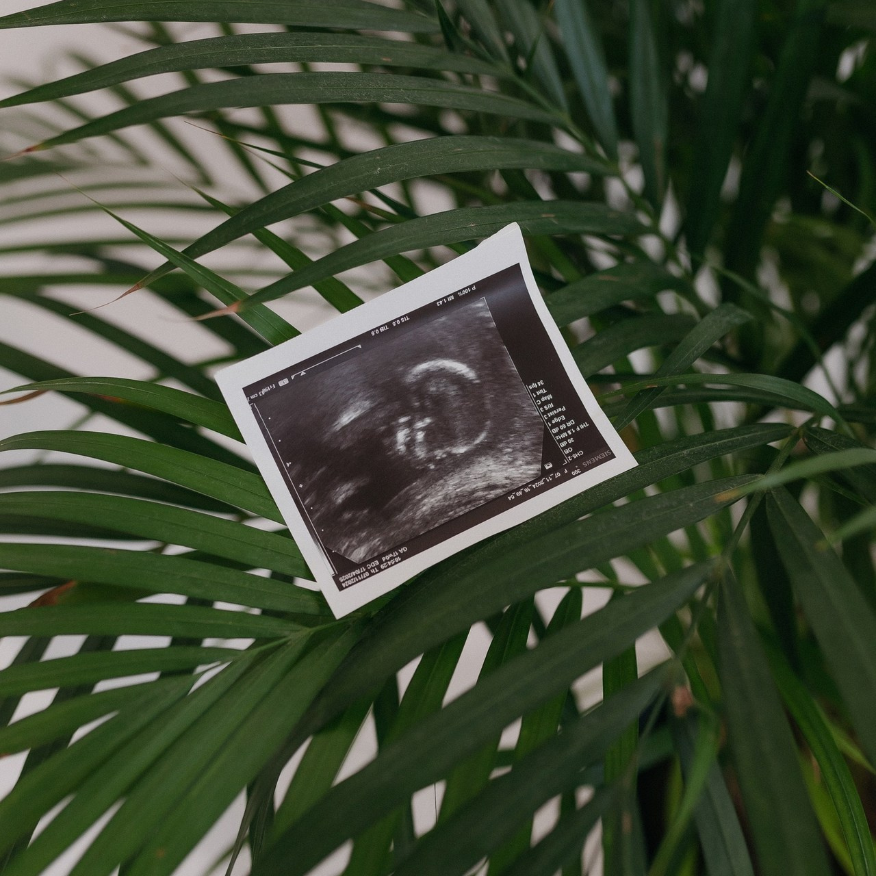 Отзывы. Семейный фотограф в Сургуте