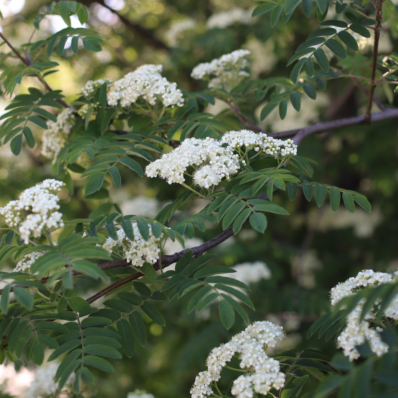 Отзывы. Контентный фотограф в Перми Натали Кытманова