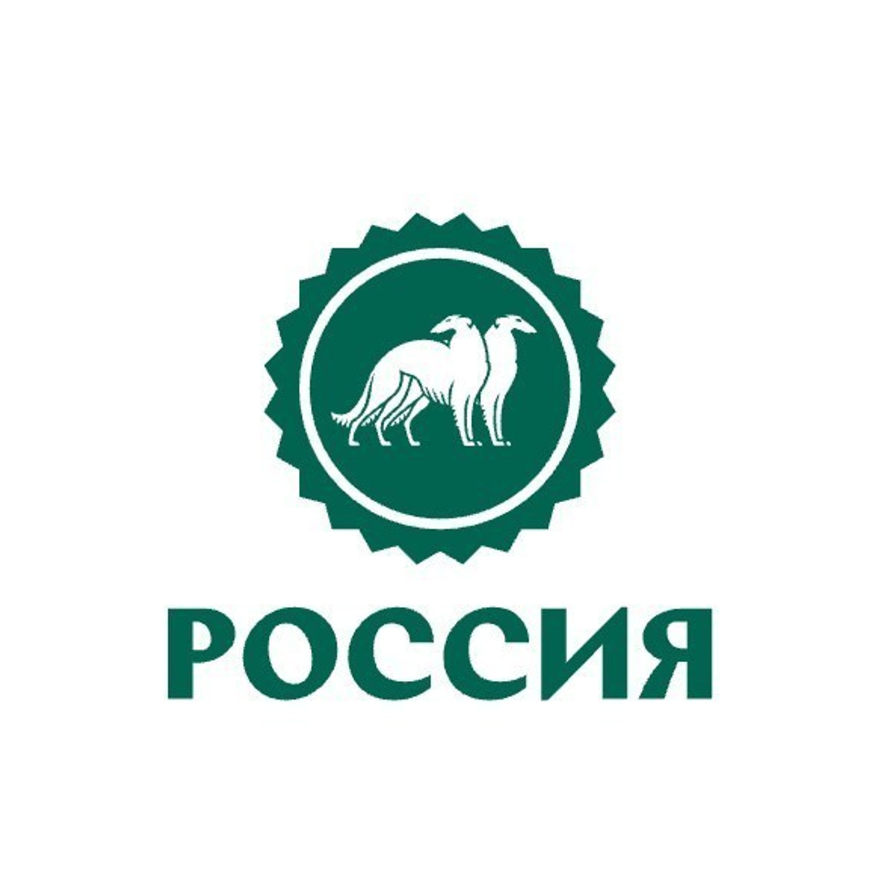 Отзывы. Фотограф — анималист в Санкт — Петербурге Анна Орис