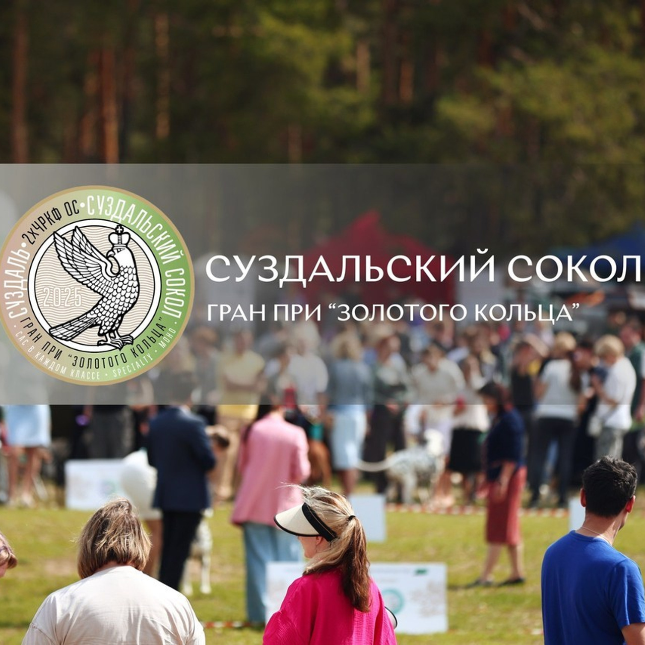 Отзывы. Фотограф — анималист в Санкт — Петербурге Анна Орис