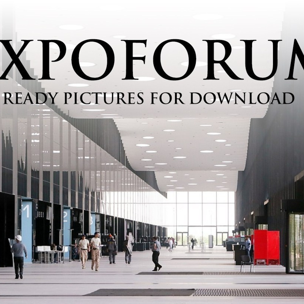 Отзывы. Фотограф — анималист в Санкт — Петербурге Анна Орис