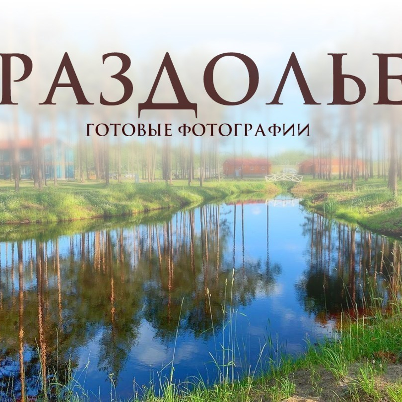 Отзывы. Фотограф — анималист в Санкт — Петербурге Анна Орис