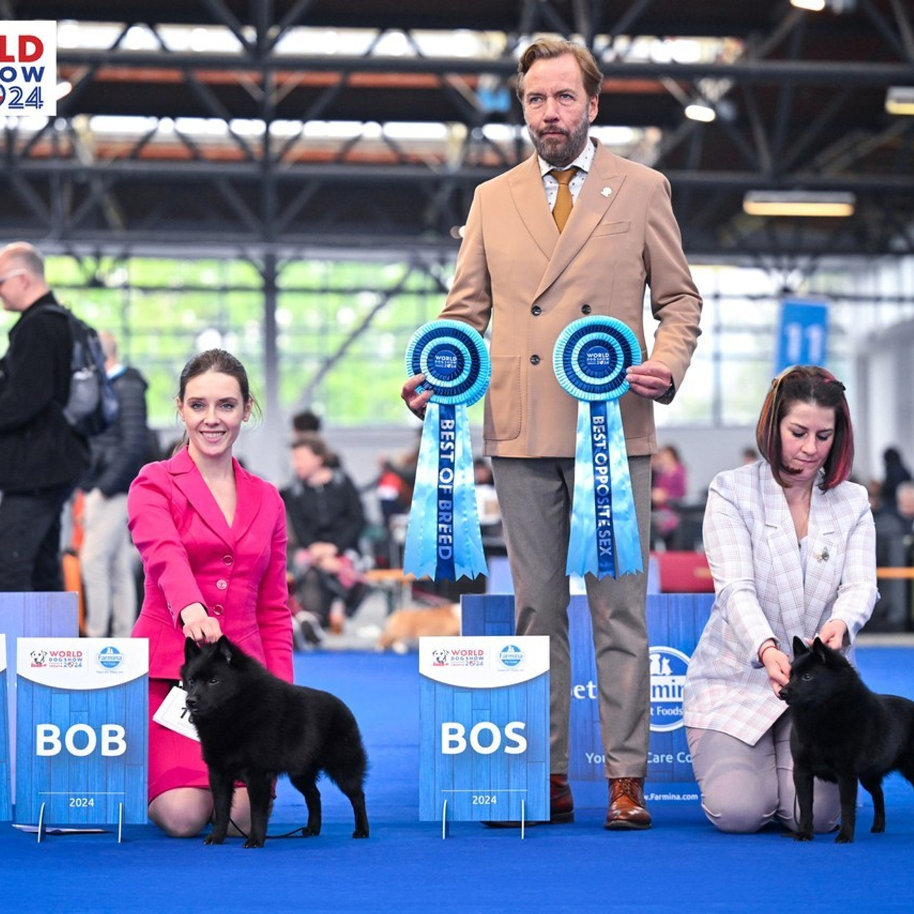 Отзывы. Фотограф — анималист в Санкт — Петербурге Анна Орис