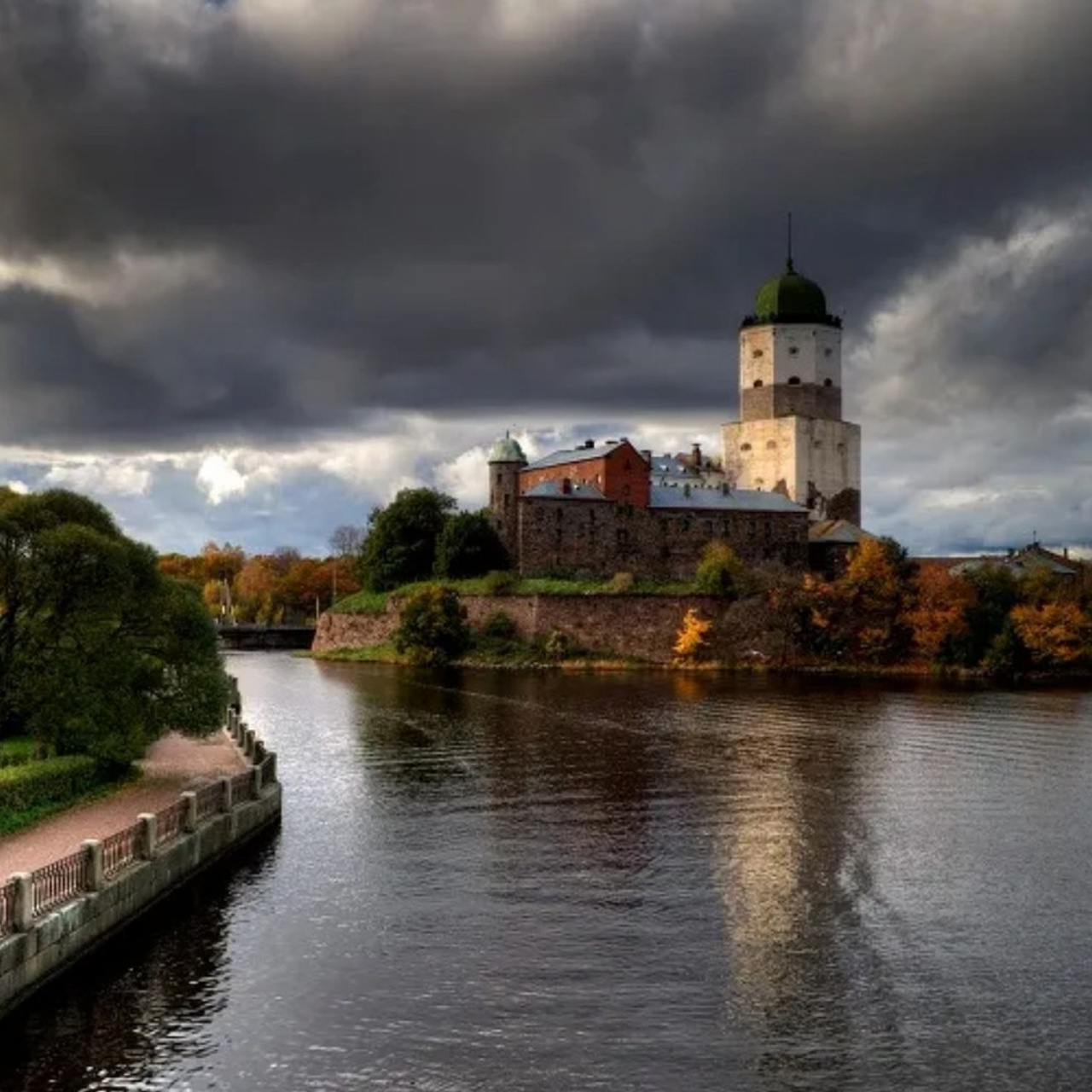 Отзывы. Фотограф — анималист в Санкт — Петербурге Анна Орис