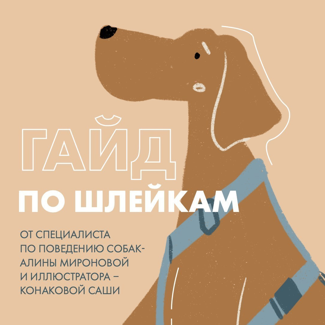 Отзывы. Фотограф — анималист в Санкт — Петербурге Анна Орис