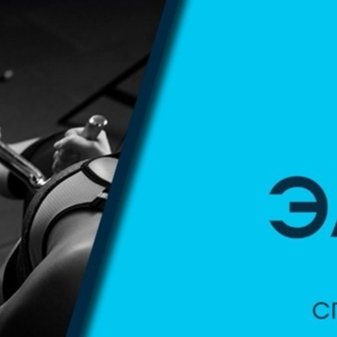 Отзывы. Фотограф — анималист в Санкт — Петербурге Анна Орис