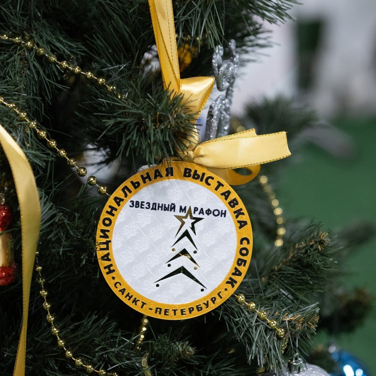 Отзывы. Фотограф — анималист в Санкт — Петербурге Анна Орис