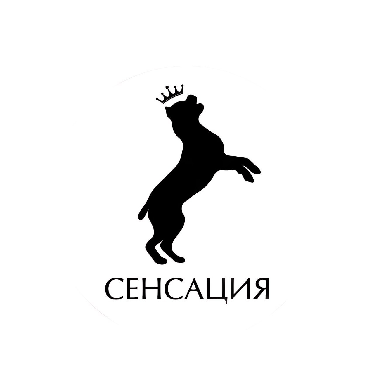 Отзывы. Фотограф — анималист в Санкт — Петербурге Анна Орис