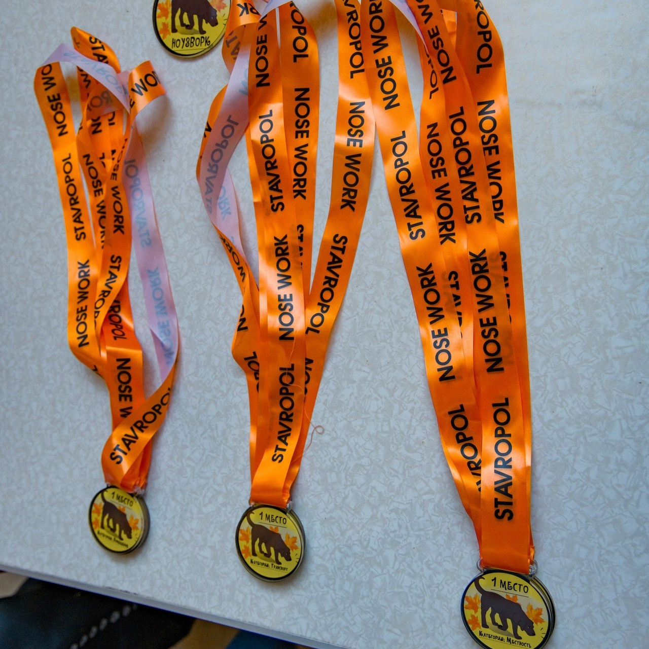 Отзывы. Антонина Савельева Фотограф Ставрополь