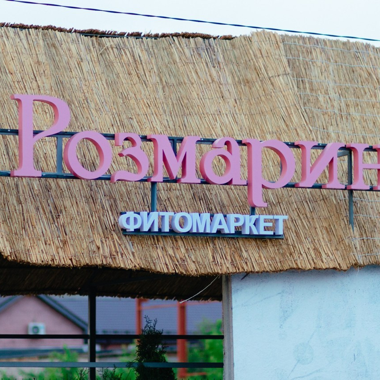 Отзывы. Фотограф Екатерина Советкина Самара