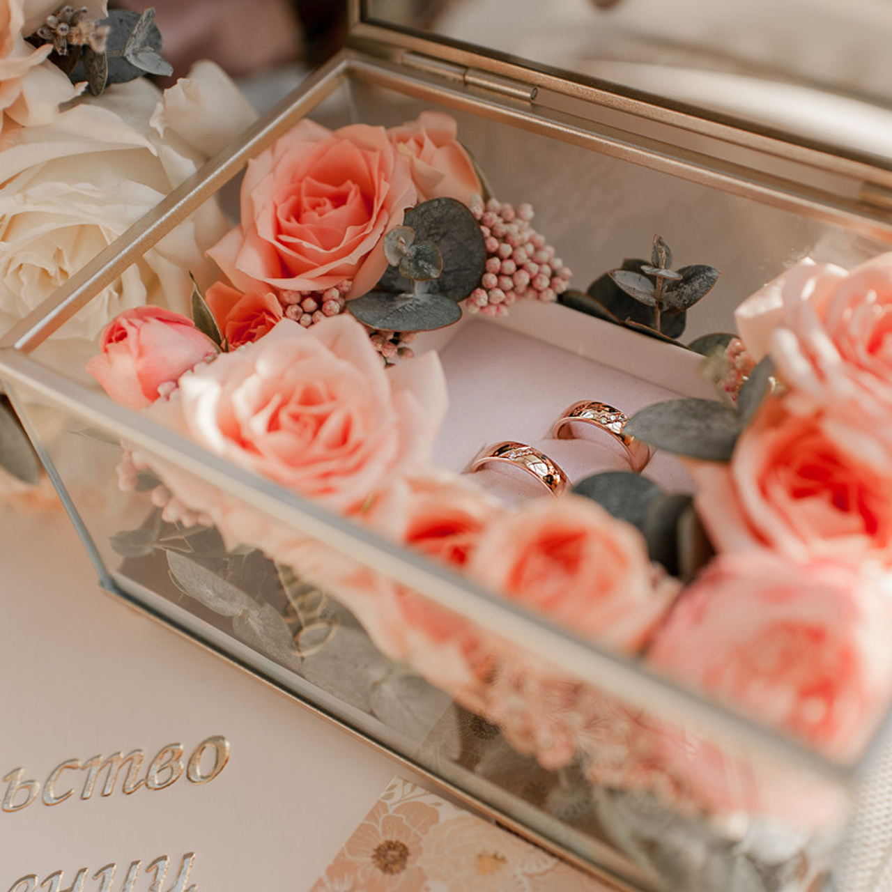 Владислав + Анна