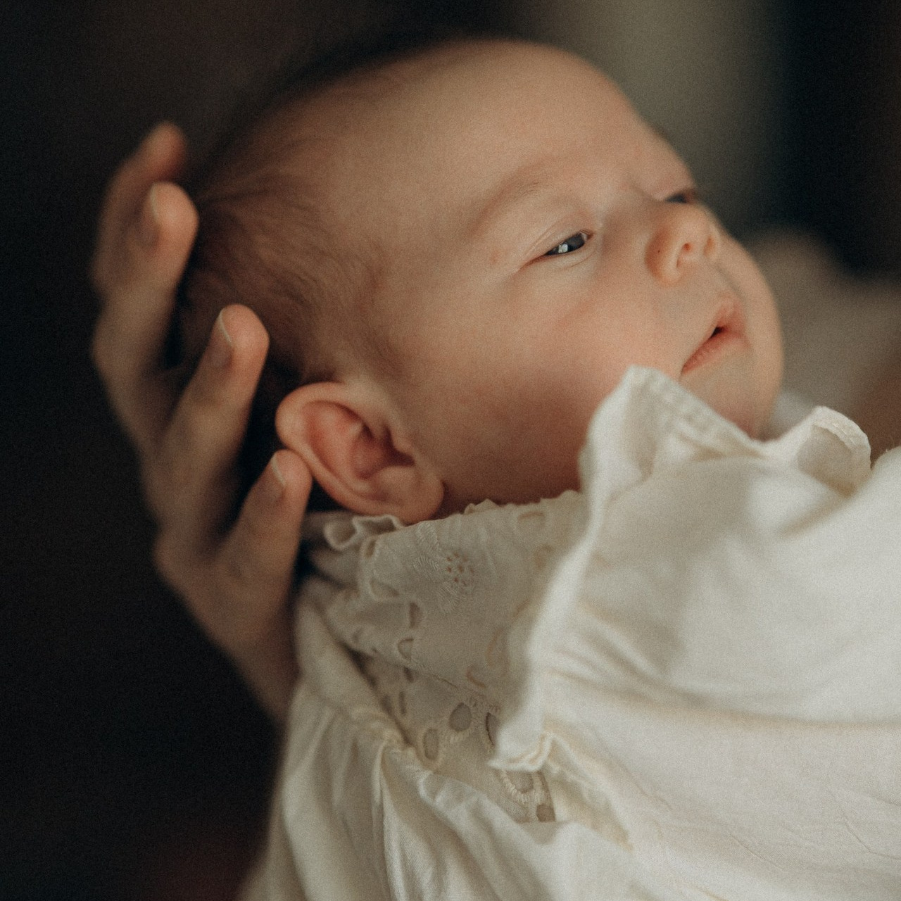 Отзывы. Свадебный фотограф в Москве Гоцман Анастасия