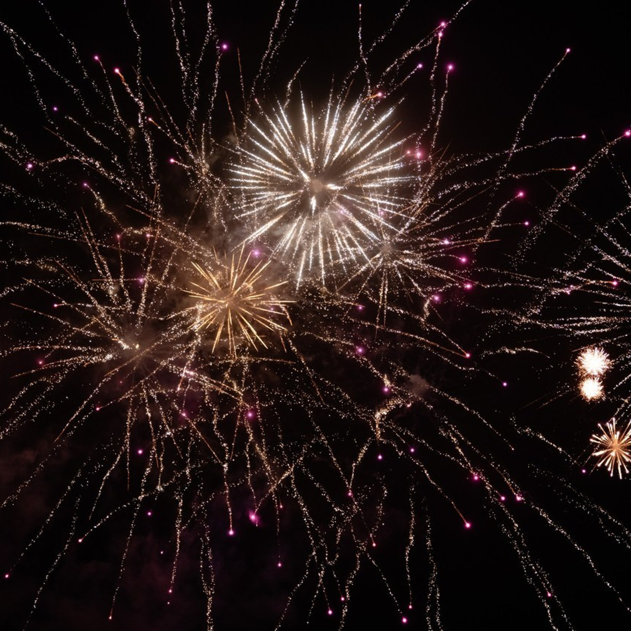 Отзывы фотограф. Фотограф в Санкт-Петербурге Маргарита Мирошниченко