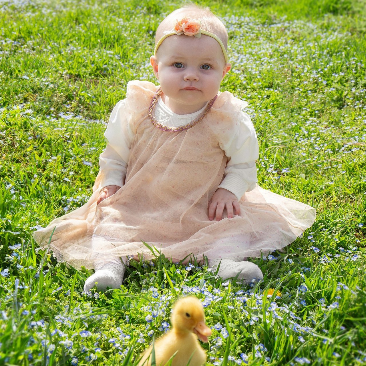 Отзывы. Фотостудия, фотограф новорожденных в Брюховецком районе Татьяна Кауц. Многолетний опыт работы с новорожденными и молодыми семьями