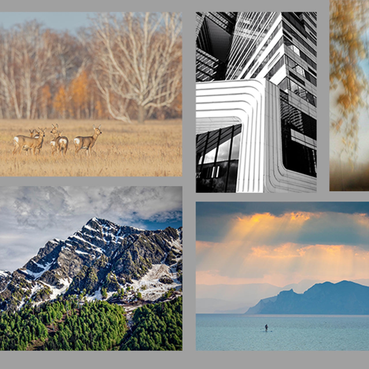 SPC 2025/002 Annual Photography Exhibition