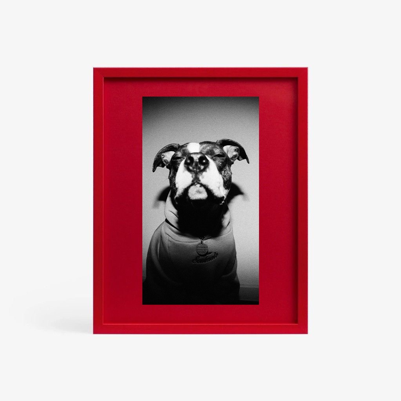 Кадры живут вне времени. Фотограф Юлия Курочкина