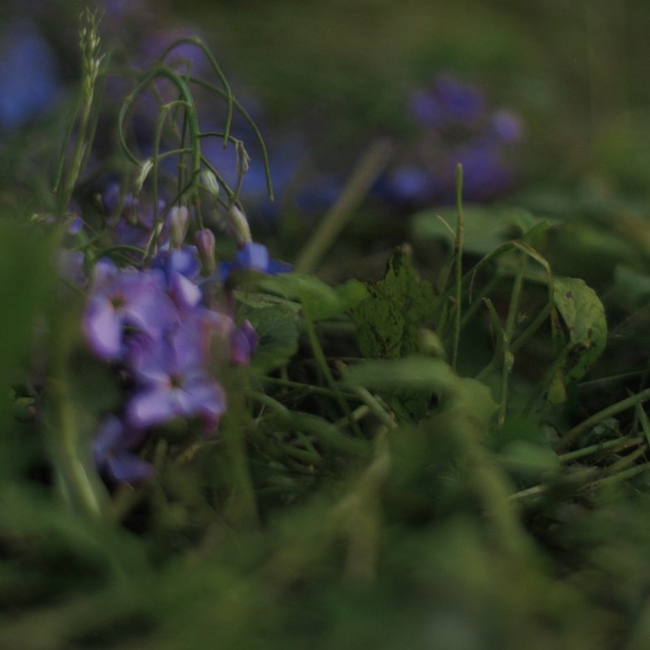 Отзывы. Фотограф г. Уссурийск Сафронова Светлана
