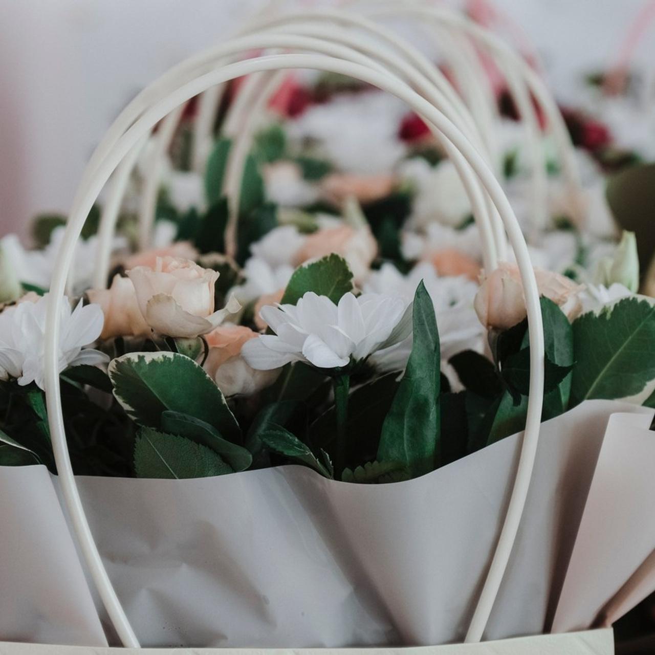 Отзывы NEW. Фото Видео Дизайн