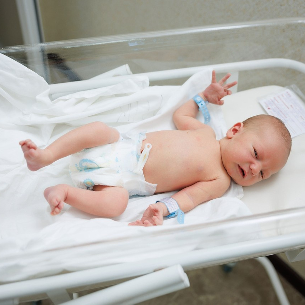 Отзывы. Фотограф Александр Герасимов