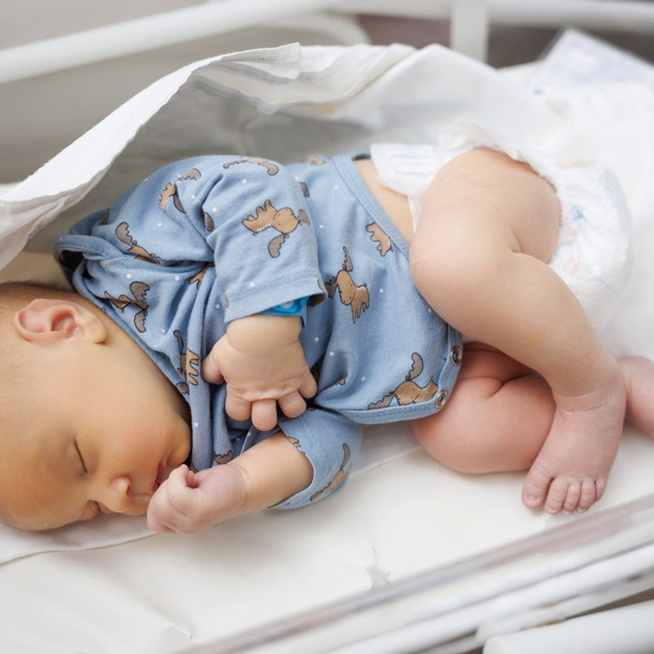 Отзывы. Фотограф Александр Герасимов