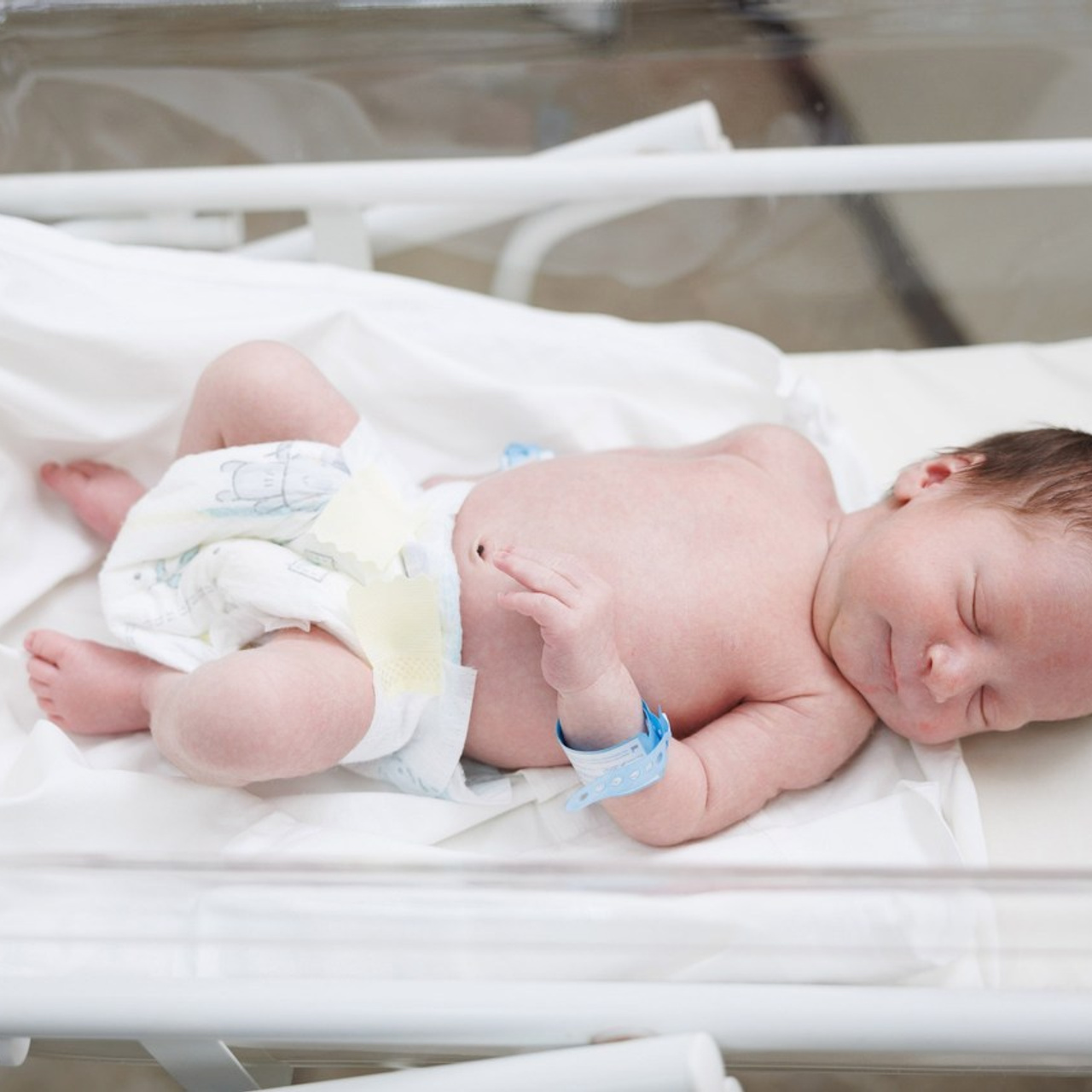 Отзывы. Фотограф Александр Герасимов