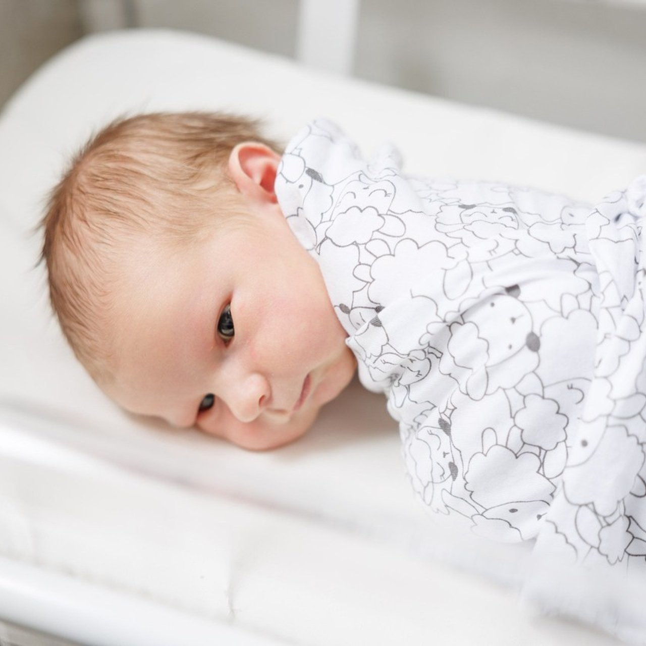 Отзывы. Фотограф Александр Герасимов