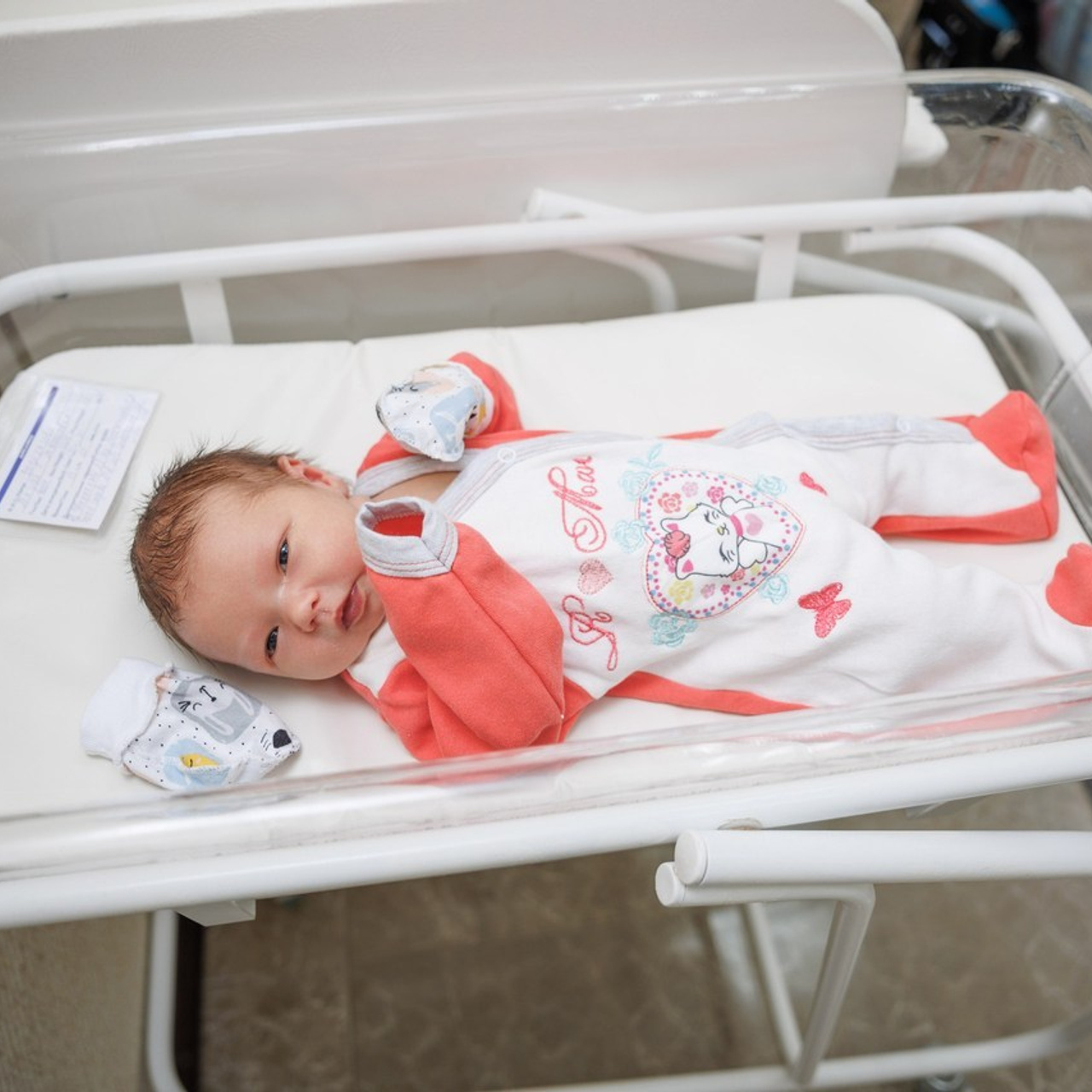 Отзывы. Фотограф Александр Герасимов