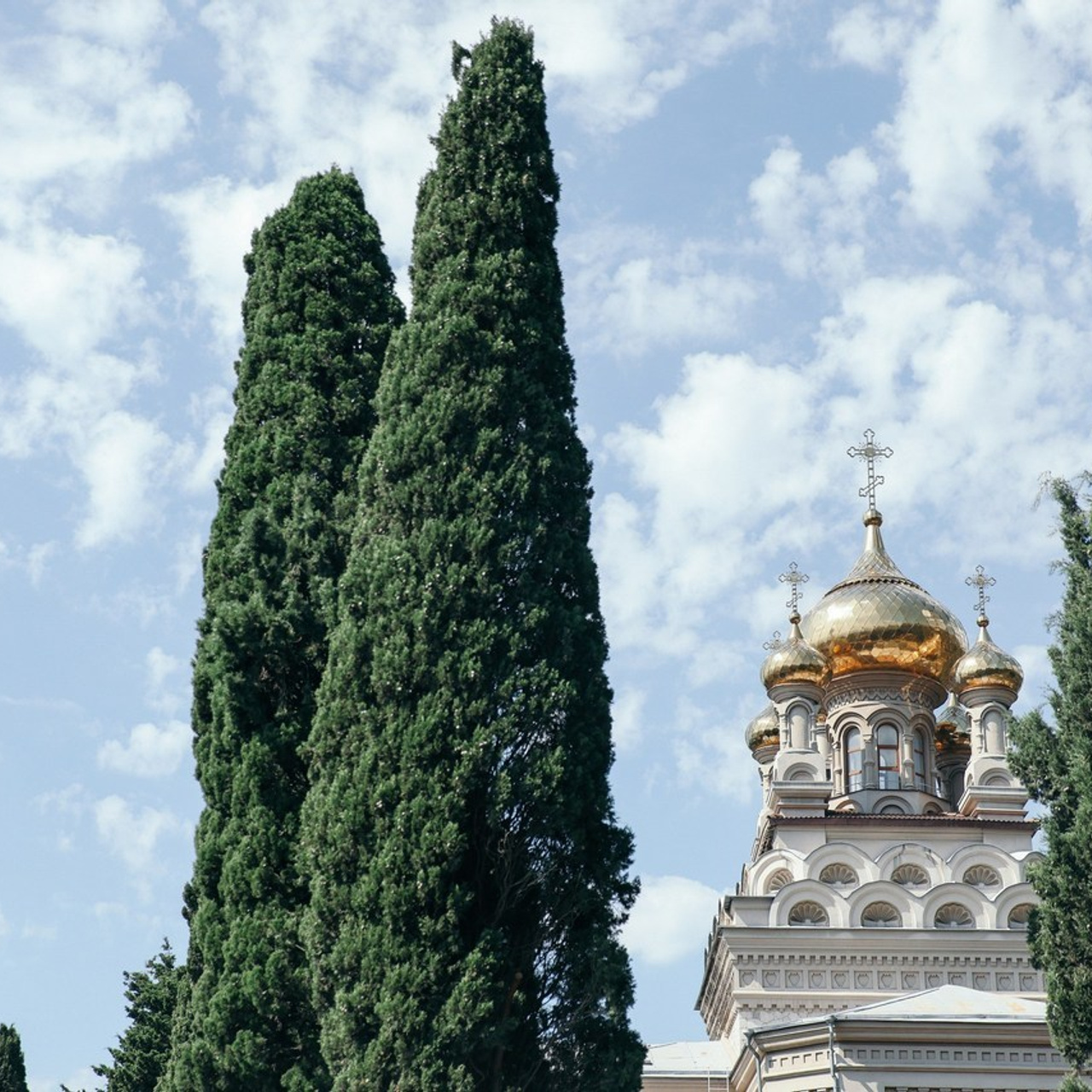 Отзывы. Свадебный и семейный фотограф в Севастополе и Крыму Анастасия Сураева