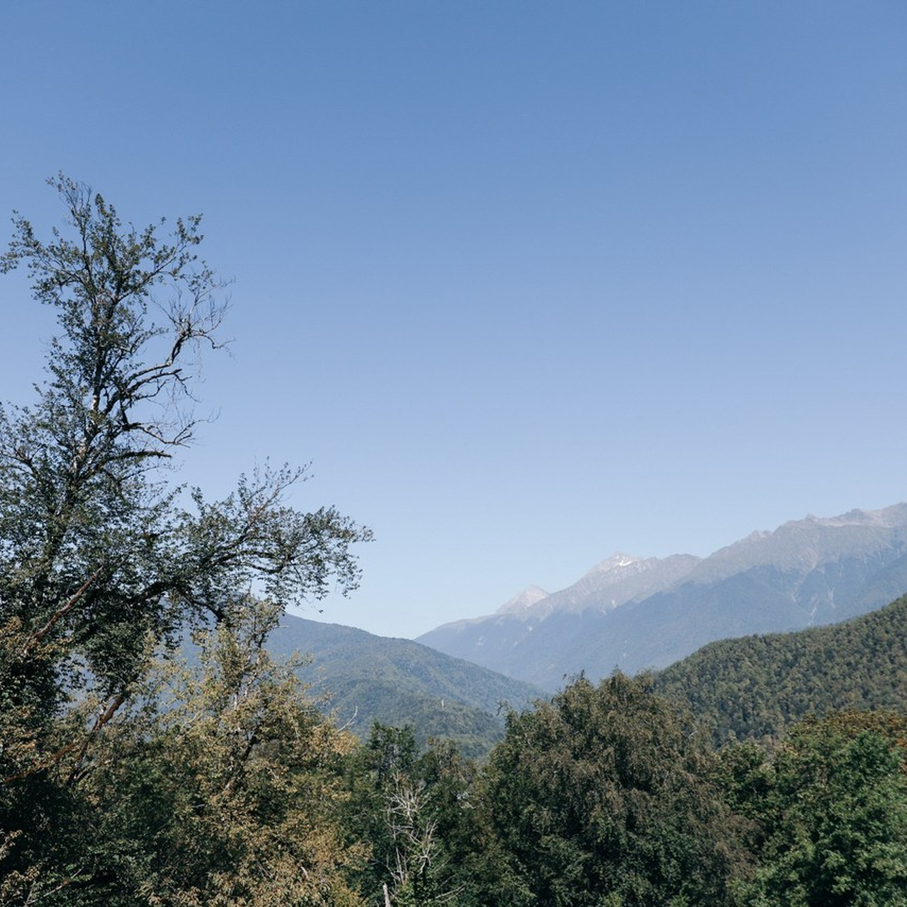 Отзывы. Свадебный и семейный фотограф в Севастополе и Крыму Анастасия Сураева