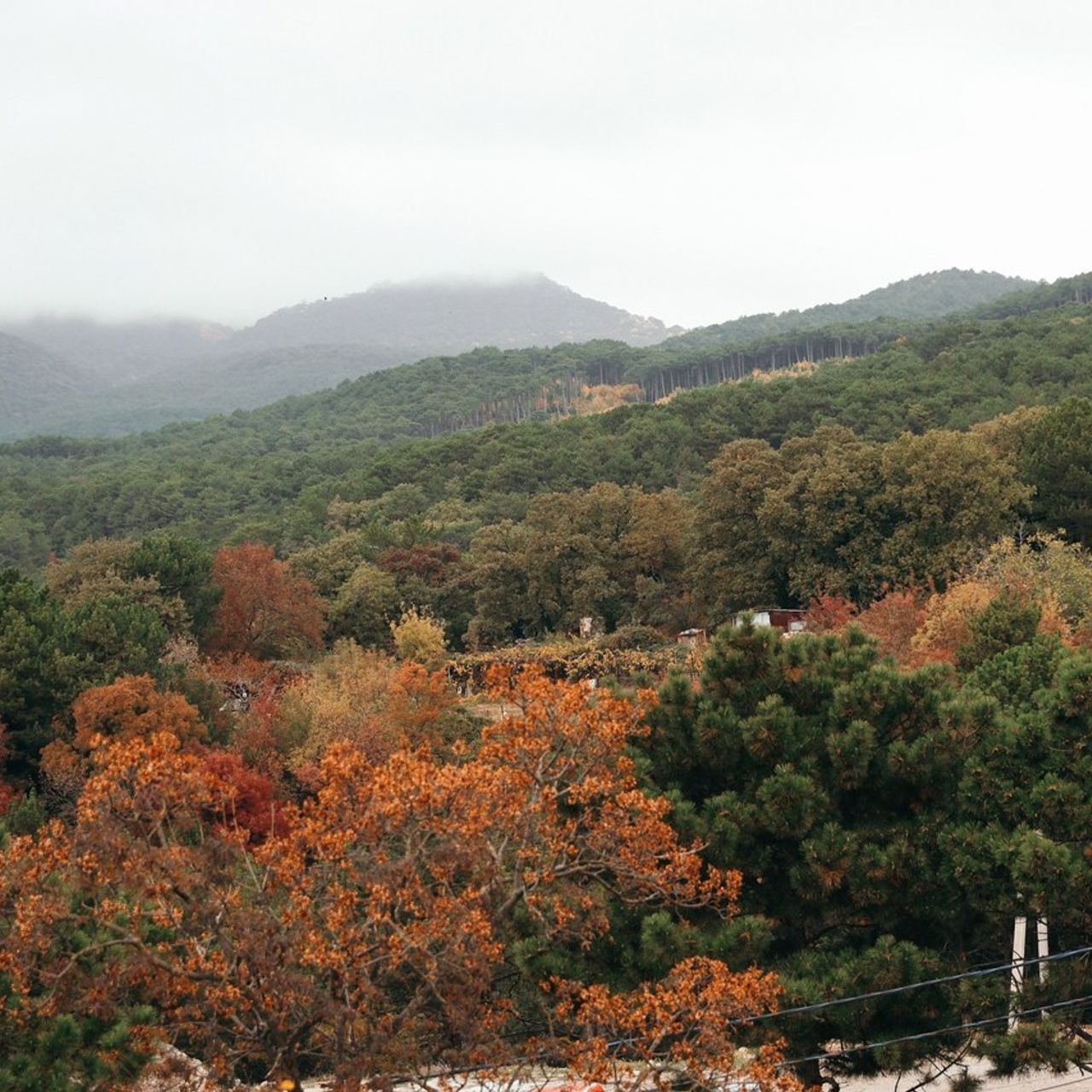 Отзывы. Свадебный и семейный фотограф в Севастополе и Крыму Анастасия Сураева