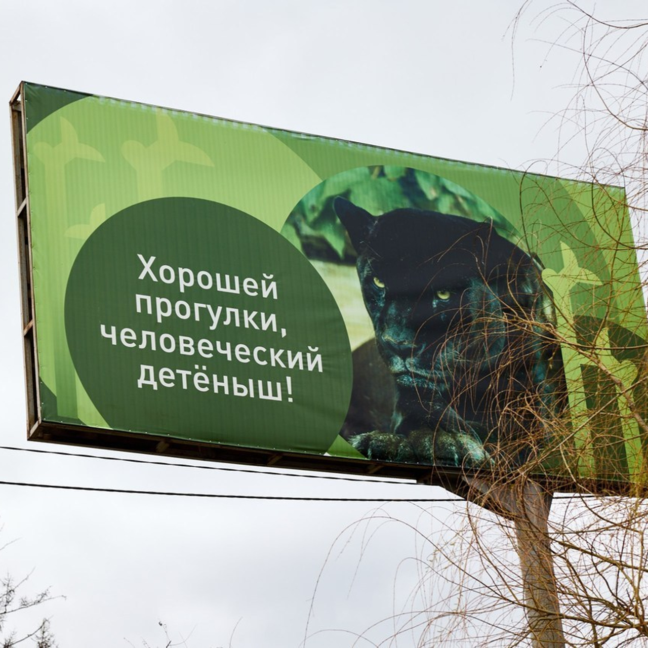 Отзывы. Фотограф Красноярск