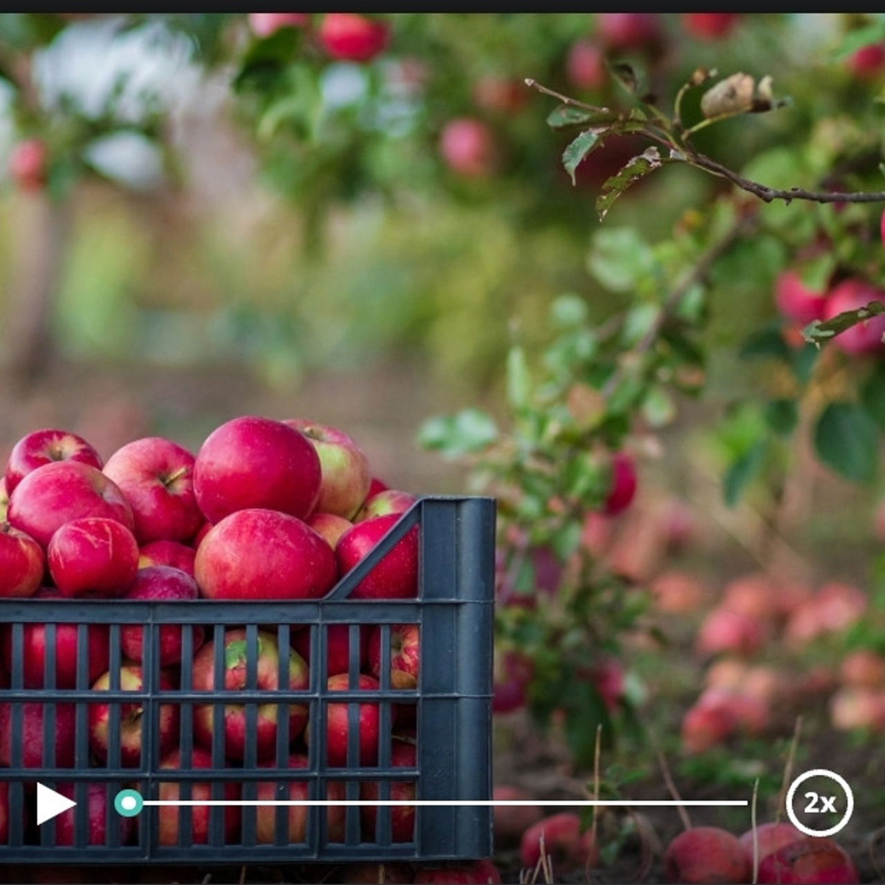 Отзывы. Фотограф Красноярск