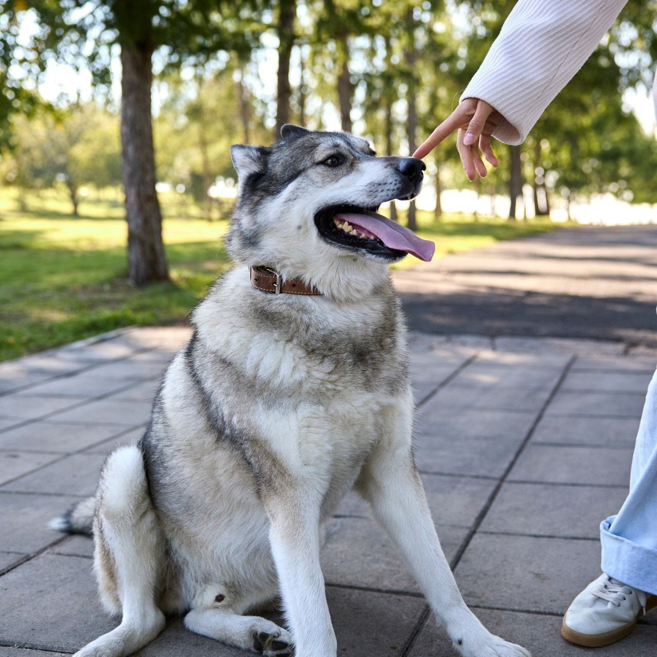 Отзывы. Фотограф Красноярск