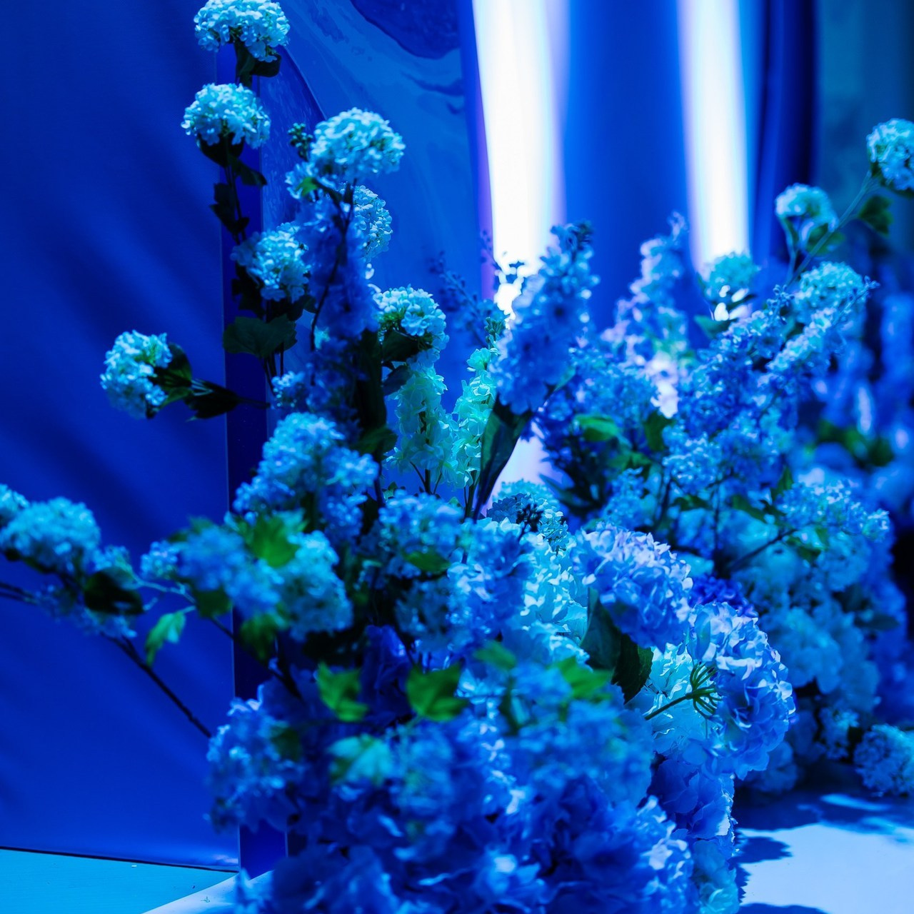 Отзывы. Портретный имиджевый фотограф в Москве