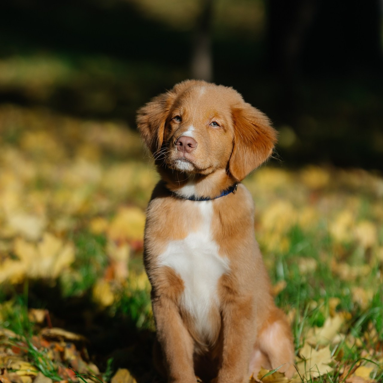 Отзывы. Портретный имиджевый фотограф в Москве