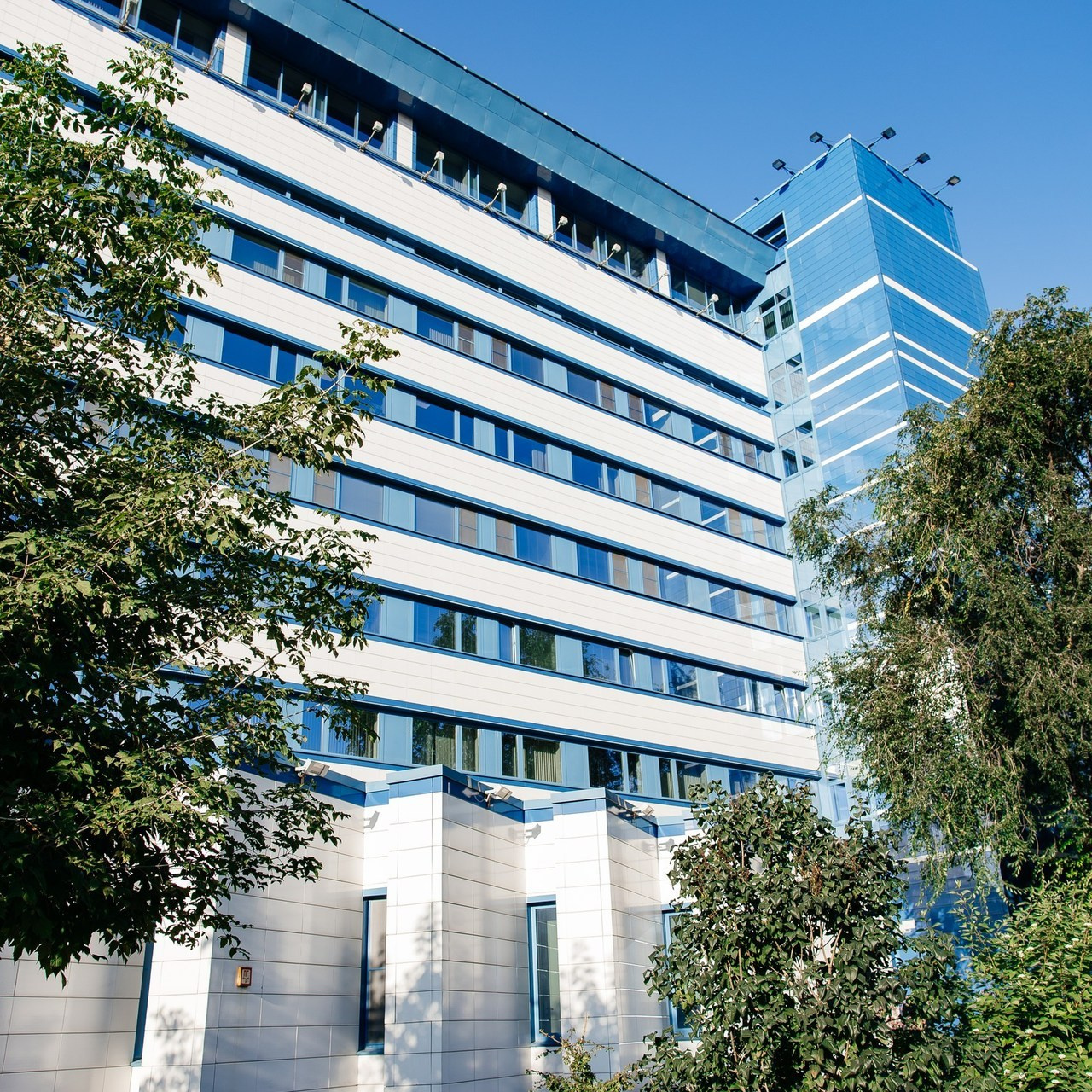 Отзывы. Портретный имиджевый фотограф в Москве