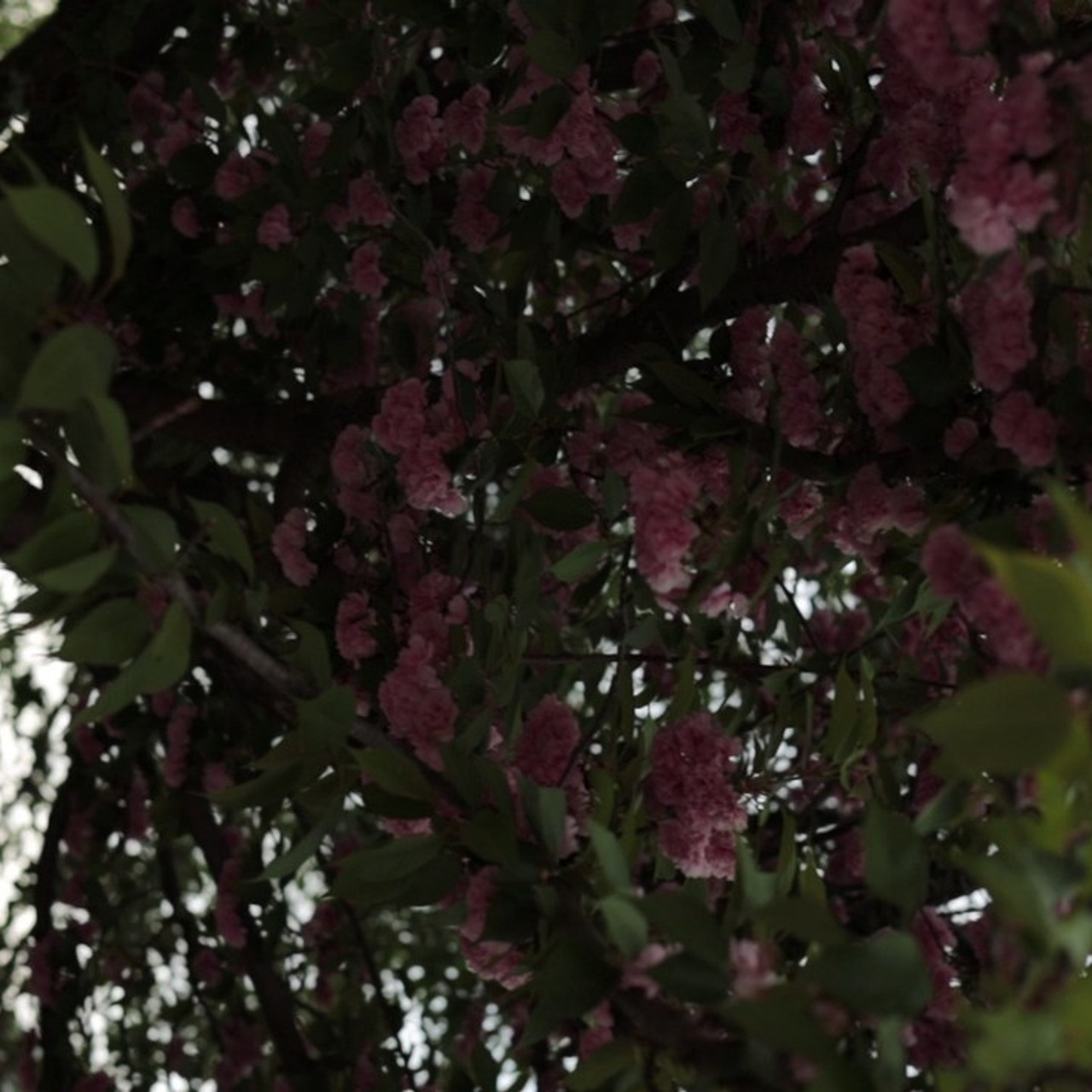 Отзывы. Фотограф Самира Абдуллаева